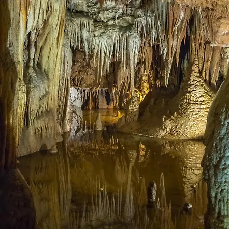 In - Istrien 51987 Appartamento *